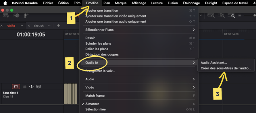 Capture d'écran du logiciel DaVinci